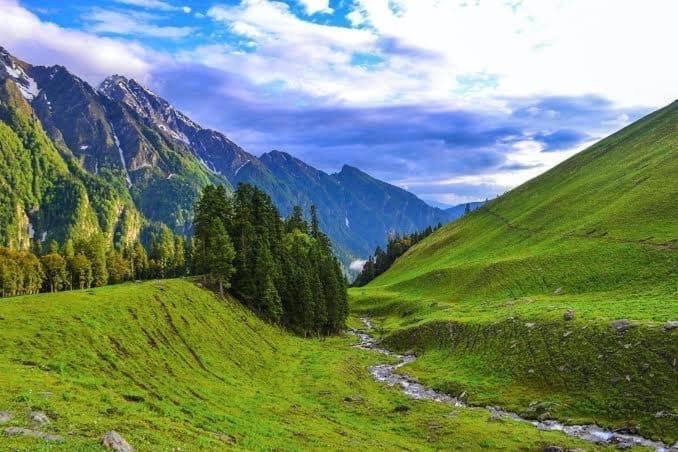 Survival In Forest, Tirthan Valley Bandal Екстериор снимка